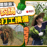 和平农场 Terra Farm