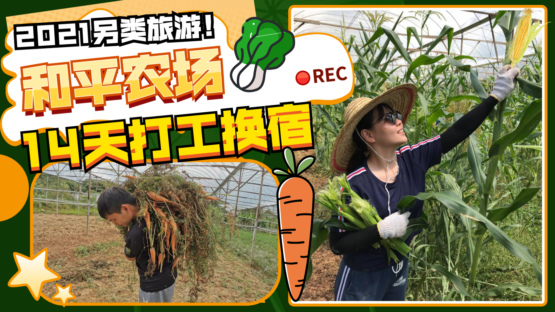 和平农场 Terra Farm