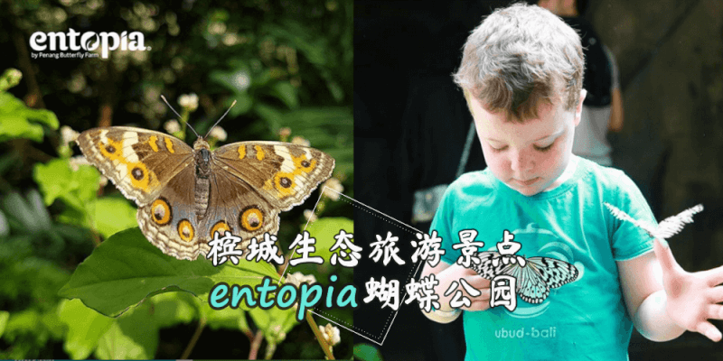 entopia